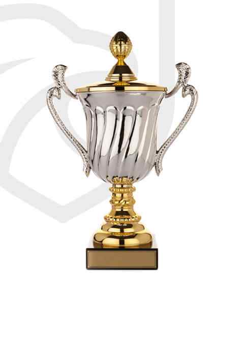 https://www.basketschoolmessina.it/wp-content/uploads/2022/11/trophy_overlay_02.jpg