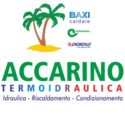 https://www.basketschoolmessina.it/wp-content/uploads/2025/01/accarino.jpg