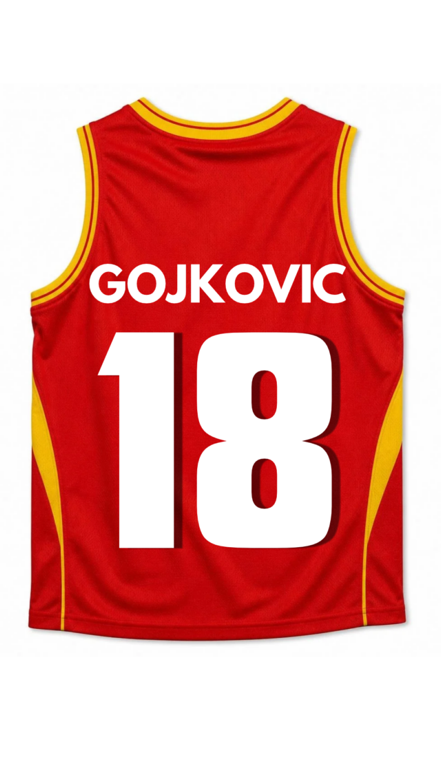 https://www.basketschoolmessina.it/wp-content/uploads/2026/08/gojkovic-640x1138.png